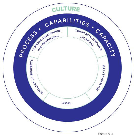 Culture People Capabilities Capacity Culture